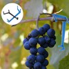 Toddmomy 20-Piece Set of Branch Limb Spreaders for Garden Trees: