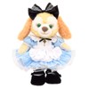 Alice Teddy Bear Mail Order Cookie Anne Clothes Costume Alice