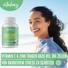 Vitabay Immun Boost - with Elderberry Extract 200 mg, Vitamin
