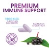 European Elderberry Fruit Extract 1200mg Per Serving Capsules - Sambucus