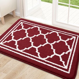 Buganda Indoor Door Mat, Resist Dirt and Absorbent Entrance Mat, Anti-Slip, Low Profile Inside Floor Mat Doormat for Entryway (32x20 inches, Burgundy)