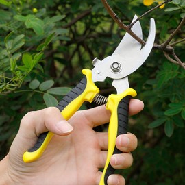Gardening Scissor Curved Sharp Stainless Steel Blade Garden Cutter Shears Cutting Flowers Trimming Plants Yard Florist Flower Rose Herb Hedge Bonsai Fruits Picking