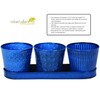 Robert Allen MPT01910 Concord Garden Flower Pot Set with Tray,