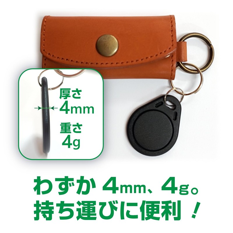 Dennett FeliCa IC Keychain, Set of 10, Ferrica Lite-S