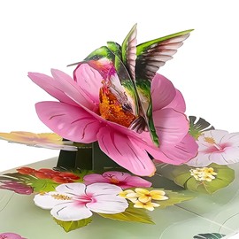 Pop up Birthday Cards for Women Hummingbird Hibiscus 3D Cards for Mum with Envelope Greeting for Anniversary Birthday
