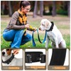 Relux Tactical Dog Collar (Black, X-Large)