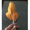 Mango Fruit Fork Set (4)