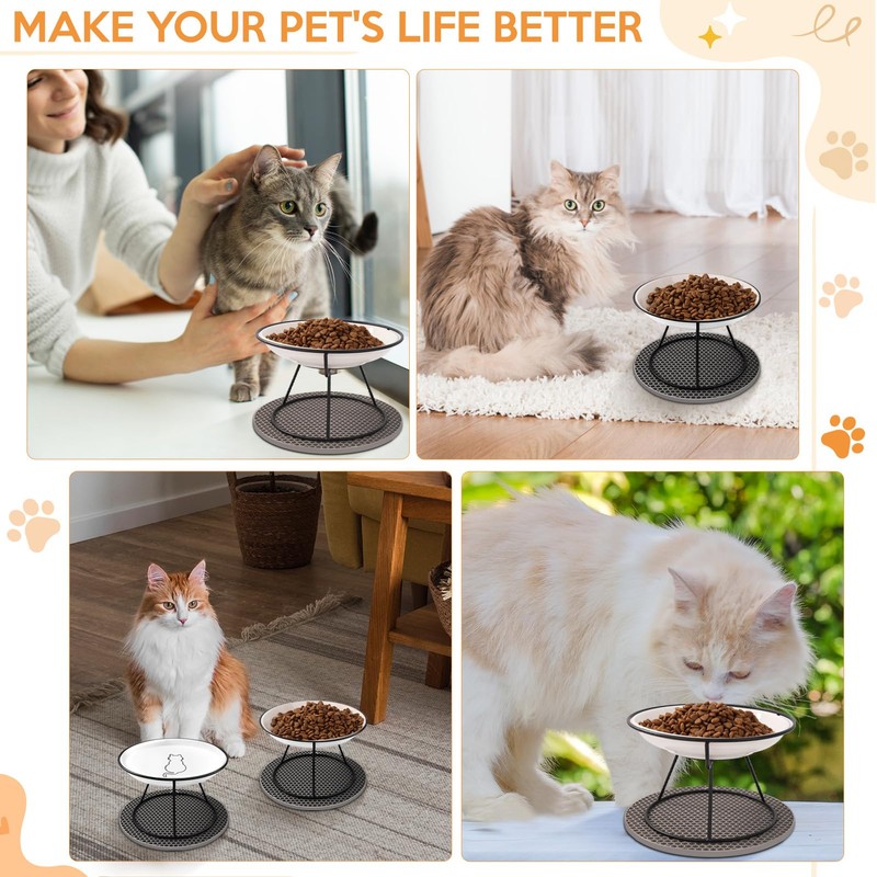 FoiiLiio Ceramic Cat Feeding Bowl Set of 2
