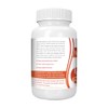 Logic Nutra Mastic Gum Supplement
