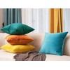 Lutanky Velvet Cushion Covers (Pack of 2) Lovely Rectangle Throw