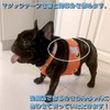 French Bulldog Cool Vest Dog Ice Pack Vest for Heatstroke