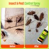 Indoor Bug Spray Safe for Pets – Natural Pet &
