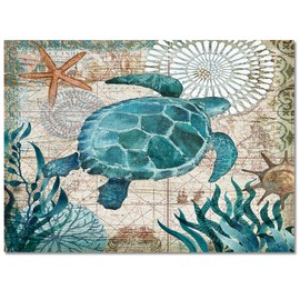 T&H XHome Chic Area Rug Collections-Luxury Ultra Soft Comfort Anti Slippery,Sea Turtle Ocean Animal Nautical Map Modern Carpet Mat Rugs for Indoor/Bedroom/Living Room Decor