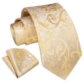 HISDERN Men's Ties Floral Champagne Tie Handkerchief Solid Color Paisley Gold Necktie & Pocket Square Set for Wedding Party Beige Tie Set