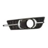 OEM NEW Front Passenger Side Grille Fog Light Trim Bezel