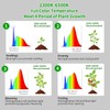 chiphy Grow Lights, Full Spectrum LED Plant Light for Indoor