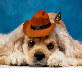 SAISI Pet Cowboy Dog or Cat Costume, Dog Apparels & Accessories, Frenchie Dog Hat Costumes with Paisley Bandana Scarf for Puppy Party Festival and Daily Wearing（M，Brown）