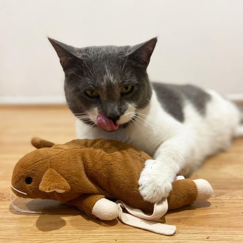 SPOT Super Mouse Sam with Catnip - Lifelike Cat Toy,