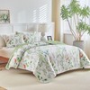 Joyreap 2 Pieces Quilt Set Twin, Floral Green n White