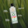 Blends Botanicare Desmaquillante Micelar Detox 350ml