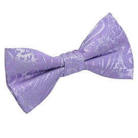 DQT New Paisley Men's Pre-tied Lilac Bow Tie