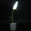 Bird Style USB Charging LED Table Light Touch Control Desk