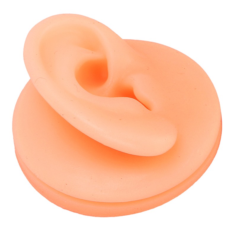 Silicone Ear Acupuncture Practice Model Reusable Simulation Ear Display Model