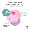 ZippyPaws Birthday Cupcake- Dog Squeaky Toys to Keep Them Busy,