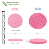 50-Count Compressed Facial Sponges for Daily Cleansing and Gentle Exfoliating,