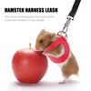 Yardwe 2 Sets Vibrant Hamster Harness & Lead for Small