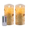 Nancia Flameless Candles Birch Bark Effect Battery Operated Candle,2PACK Real