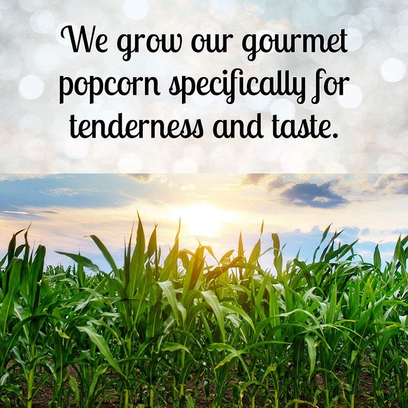 Wabash Valley Farms - Popcorn Jar - Jingle - 28