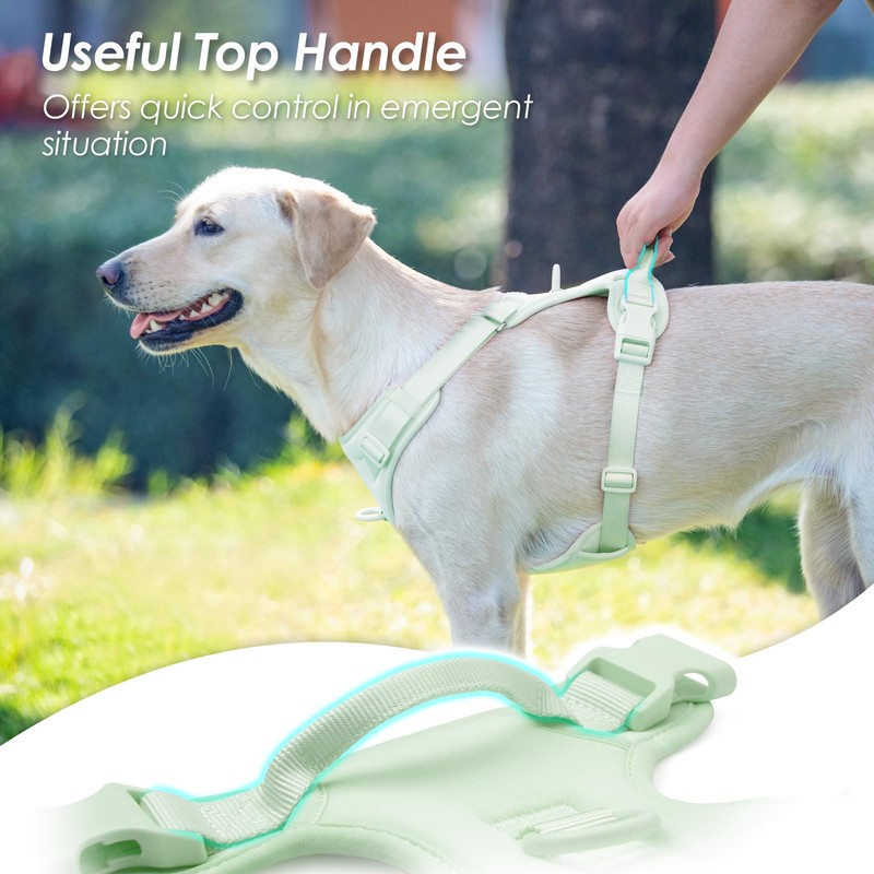 Sunraymascota No Pull Dog Harness, Puppy Vest with Front Clip