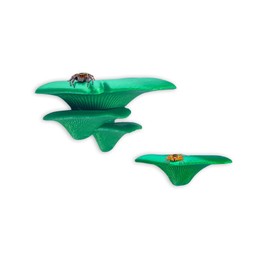Jumping Spider Mushroom Shelf, Magnetically Concealed Jumping Spider Habitat,Serves As Enclosure Decorate Accessories for Spider Climbing Feeding and Platforms (Green)