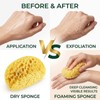 Body Bath Sponges for Adults,Bath Sponge,Shower Sponge,Pack of 2