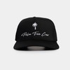 Palm Tree Crew Ptc Crew Hat