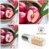 LFLAMPON E12 LED Small Light Blub,3W Equivalent 25-30W Incandescent, 3000K