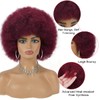Afro Wigs for Black Women 70's Burgundy Afro Wig for