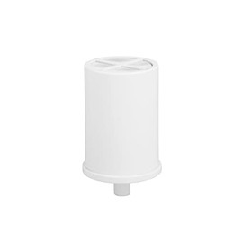 GE Shower Replacement Filter | Removes Chlorine | Replace Filter (FXSCT) Every 6 Months | FXSCT, 1 Count (Pack of 1)