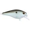SquareBull Green Shad 3.5 (1/4 oz)