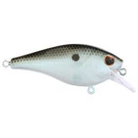 SquareBull Green Shad 3.5 (1/4 oz)
