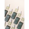 Shegaia/ Polar Timeless Whisper Elixir Face Oil 30ml / 쉬가이아/