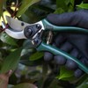 Siena Garden 560866 Garden & Rose Shears, Flower Shears, Green