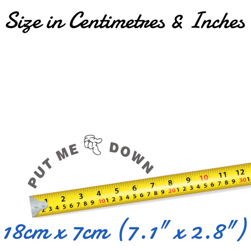 Pack of 2 Fun 'Put Me Down' Toilet Seat Funny