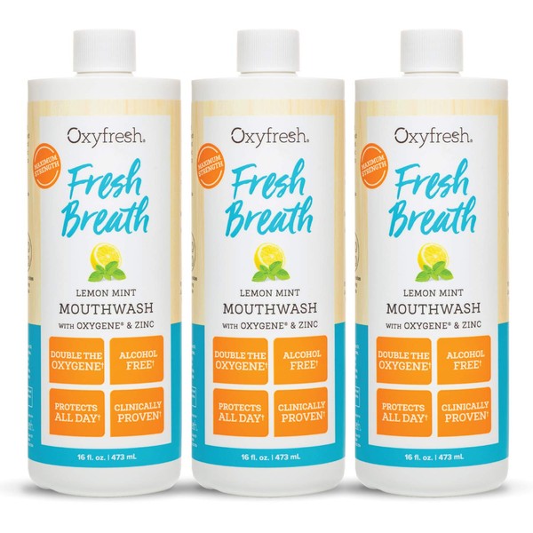 Premium Oxyfresh Lemon Mint Fresh Breath Mouthwash – Oral Rinse for Bad Breath – SLS & Fluoride Free Mouthwash – Alcohol Free, Gentle Non Burning Mouthwash with Xylitol & Essential Oils, 3 Pack16 oz