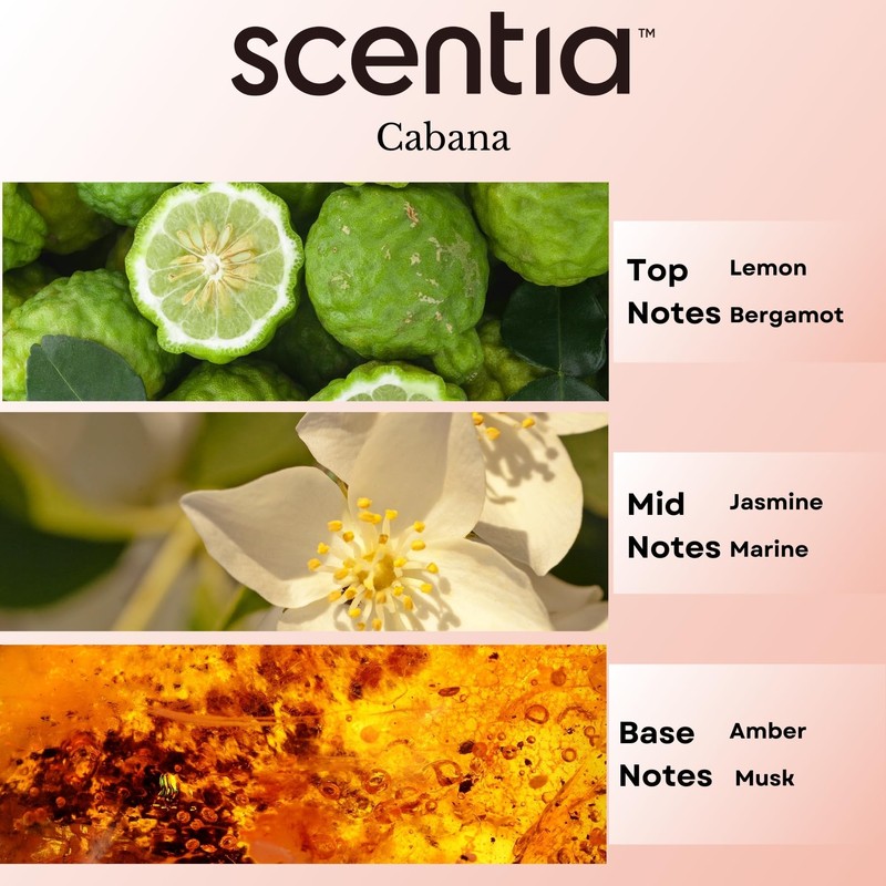 Scentia Hotel Collection Scents Diffuser Oil 50 ml - Scentia