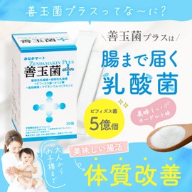 善玉菌プラス 生きている乳酸菌 サプリ 美味しい粒子タイプ ヨーグルト味 1ヶ月分 30袋 （1日/1袋）