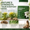 Rhodiola Rosea Organic Supplement—Adapted Herbal Formula Helps Relieve Stress, Improve