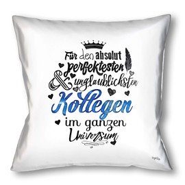 StyloTex Decorative Cushion for the Perfectly Perfektesten Colleagues
