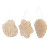 3pcs Walnut Powder Exfoliating Facial Sponge Soft Skin Cleansing Konjac